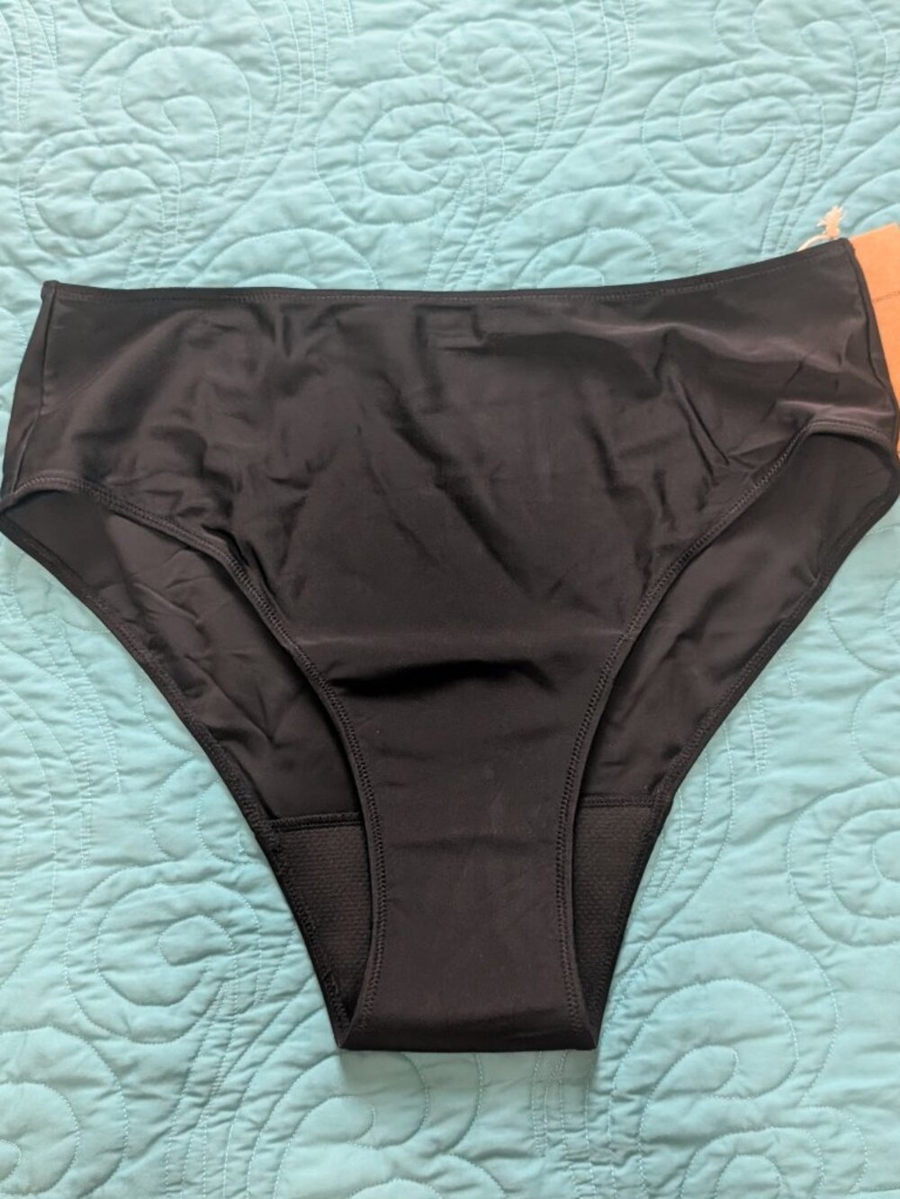 NWT Aisel leakproof swim briefs black Large